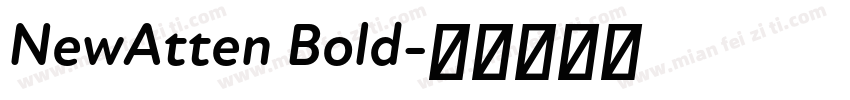 NewAtten Bold字体转换